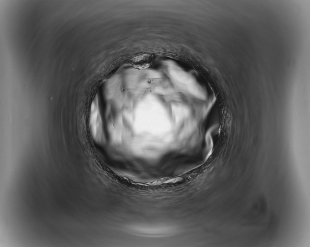 X0000086271489200704122019