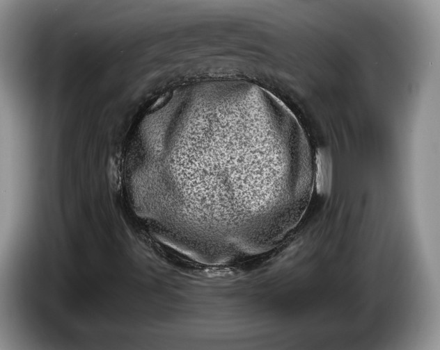 X0000086271491200704122019