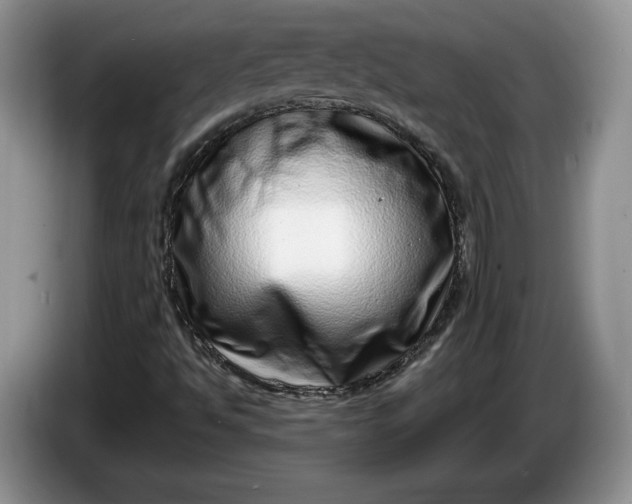 X0000086271494200704122019