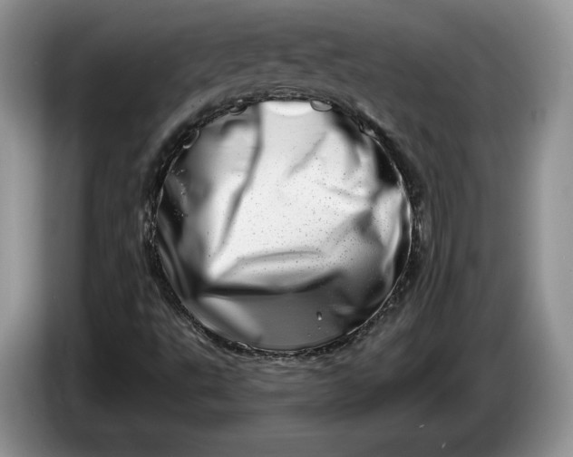 X0000086271495200704122019