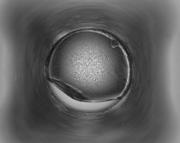 X0000086271497200704122019