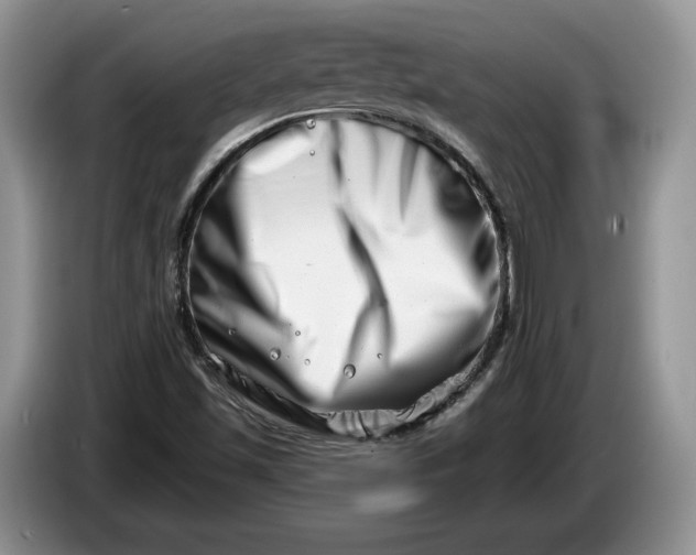 X0000086271501200704122019