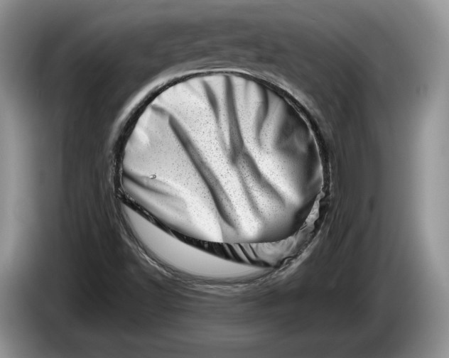 X0000086271502200704122019