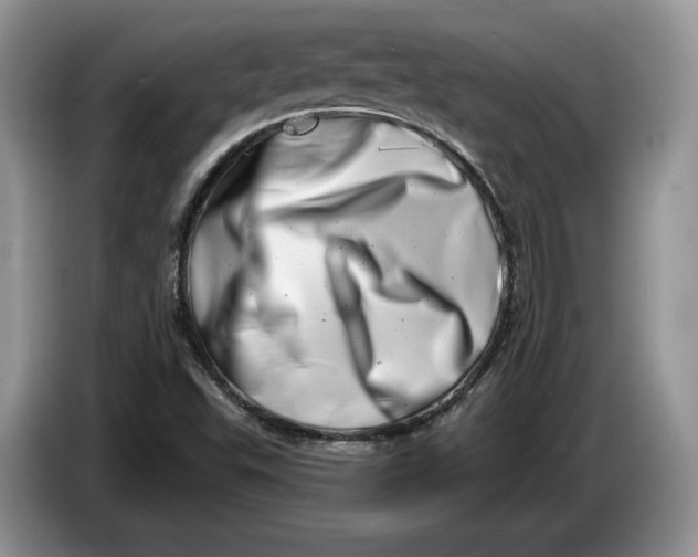 X0000086271503200704122019