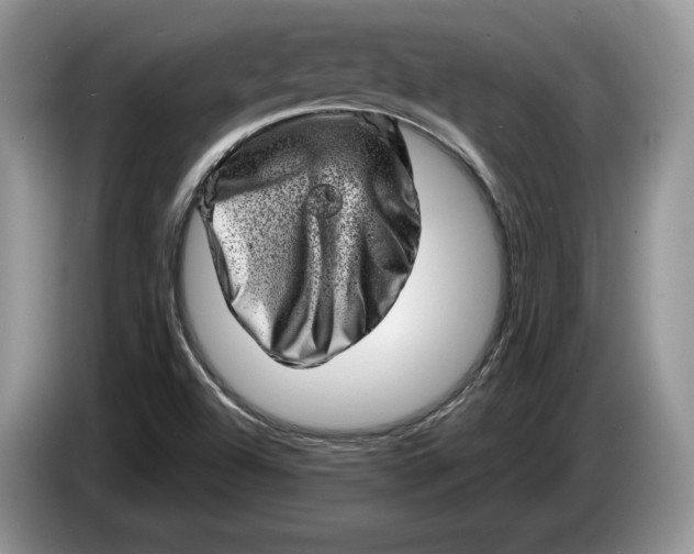 X0000086271504200704122019