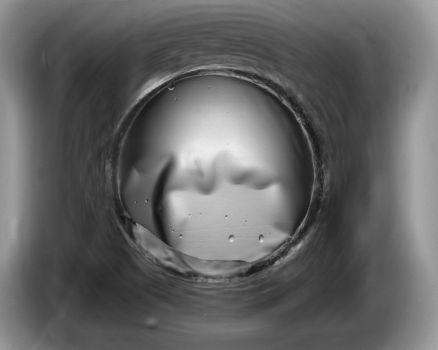 X0000086271505200704122019