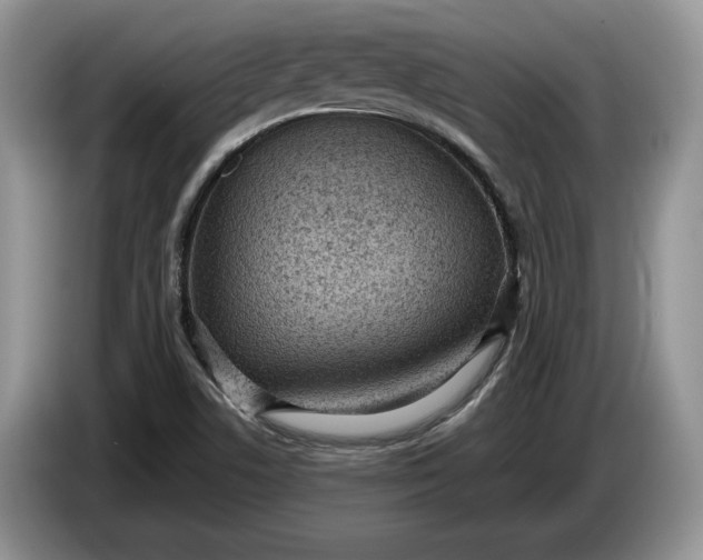 X0000086271506200704122019
