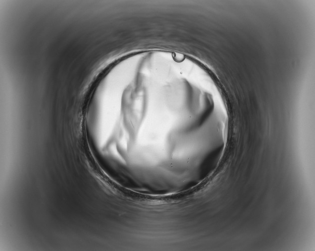 X0000086271507200704122019