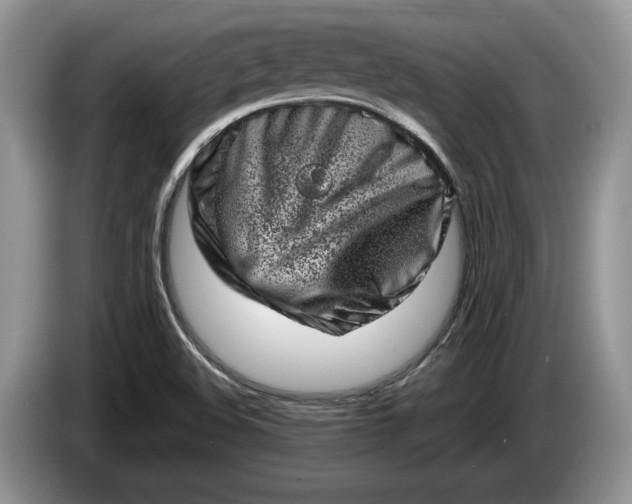 X0000086271508200704122019