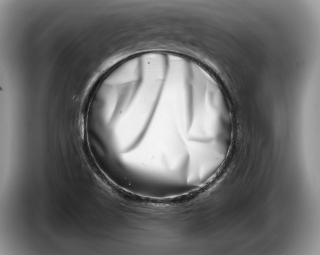 X0000086271509200704122019