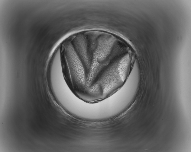 X0000086271510200704122019