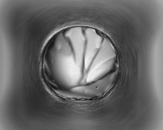 X0000086271511200704122019