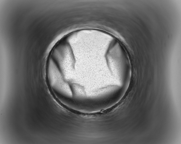X0000086271512200704122019