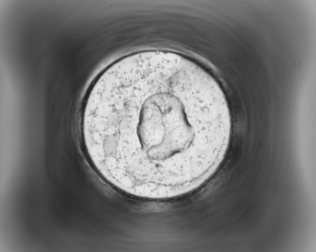 X0000086271514200704122019