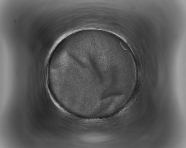 X0000086271515200704122019