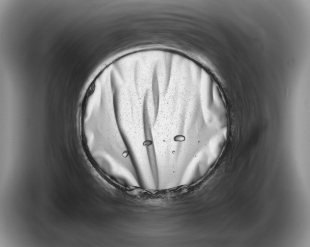 X0000086271516200704122019