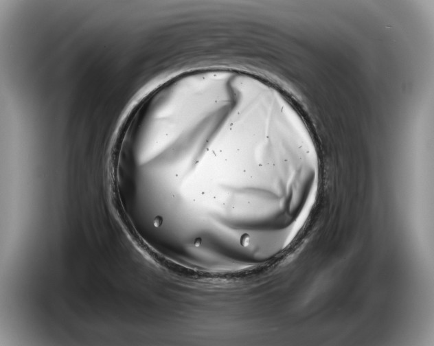 X0000086271517200704122019