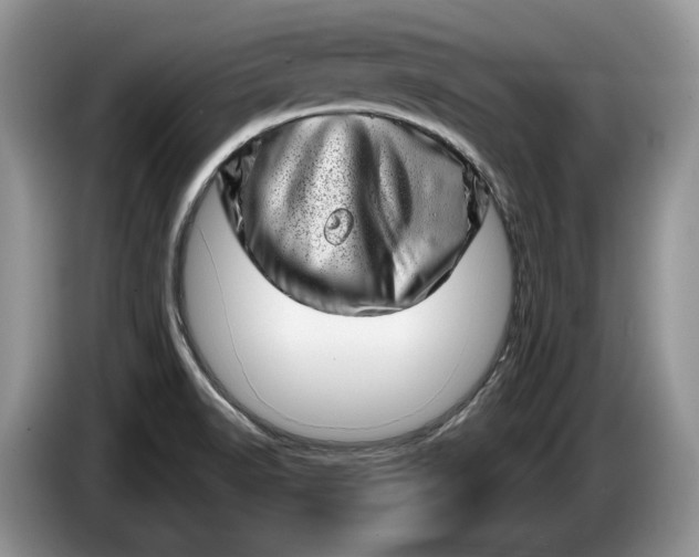 X0000086271518200704122019