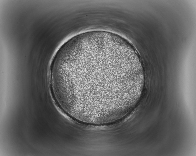 X0000086271519200704122019