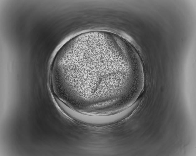 X0000086271520200704122019