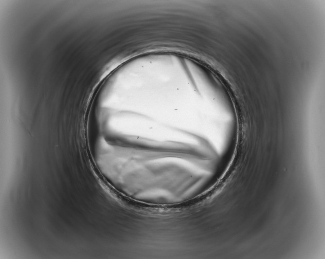 X0000086271521200704122019