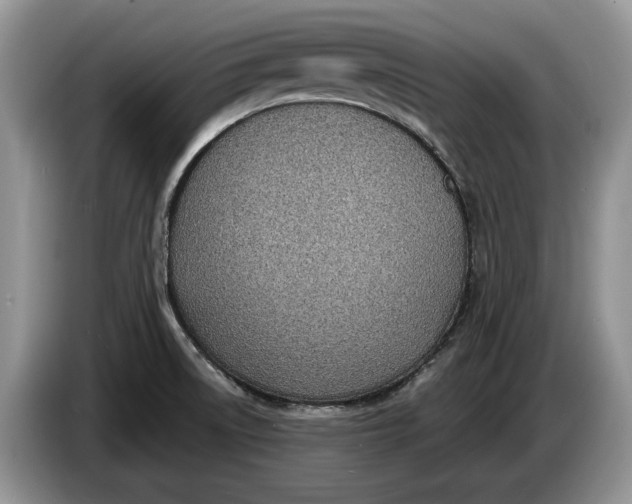 X0000086271522200704122019