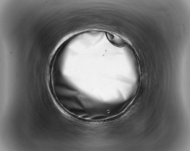 X0000086271523200704122019