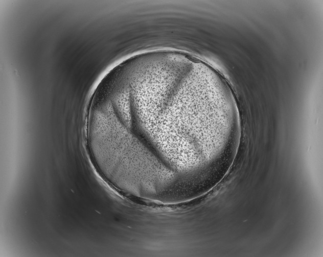 X0000086271524200704122019