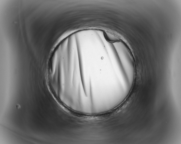 X0000086271525200704122019