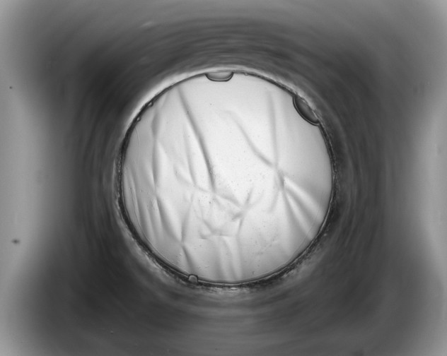 X0000086271526200704122019