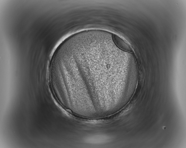 X0000086271527200704122019