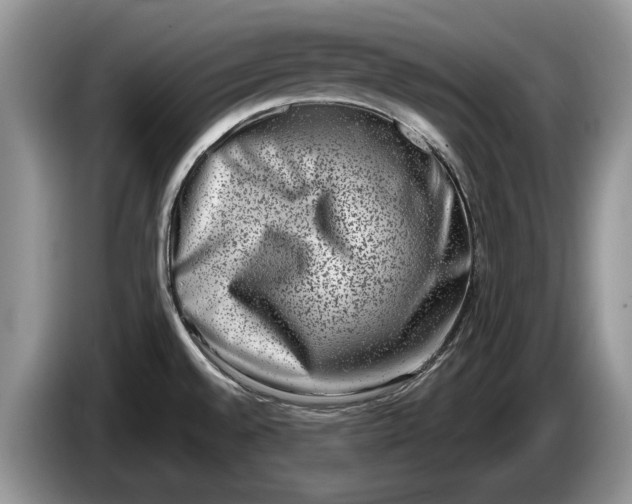 X0000086271528200704122019