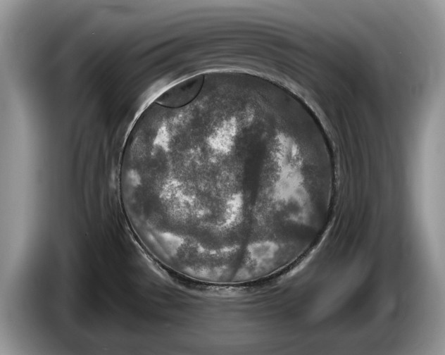 X0000086271529200704122019