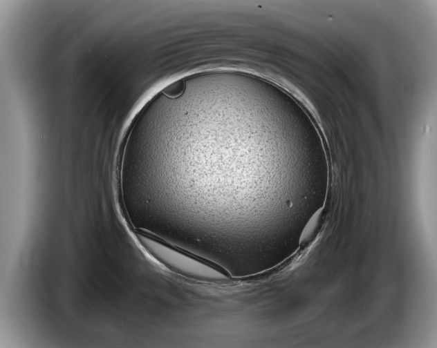 X0000086271533200704122019