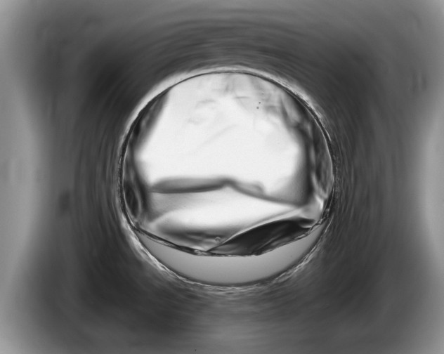 X0000086271534200704122019