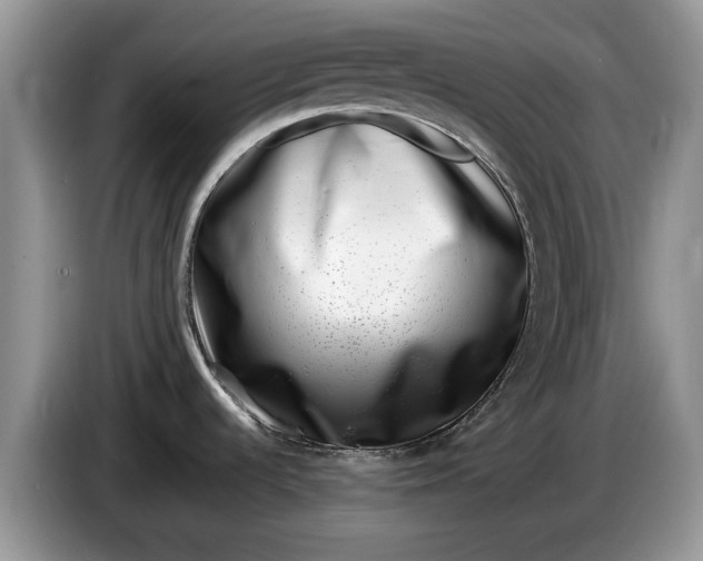 X0000086271536200704122019