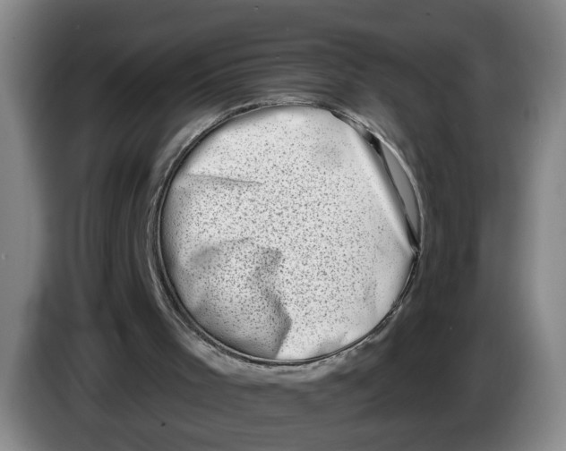 X0000086270001200704191934