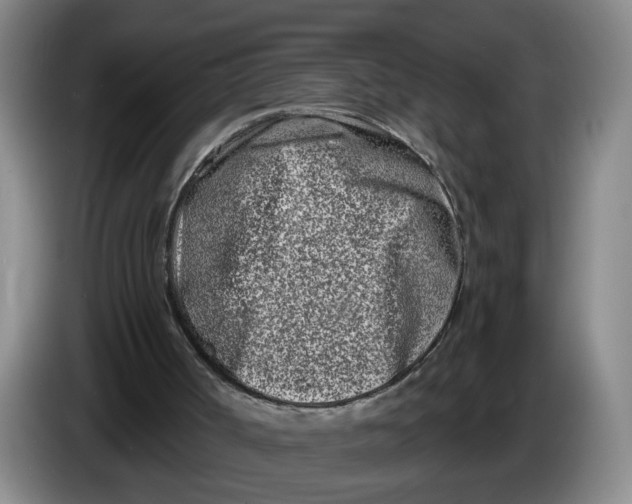 X0000086270002200704191934