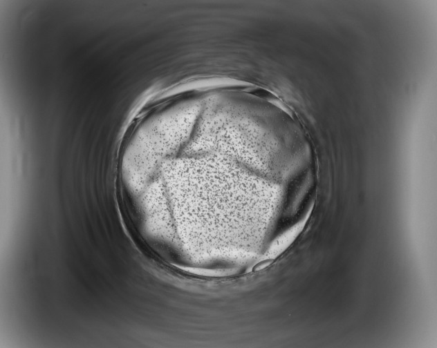 X0000086270003200704191934