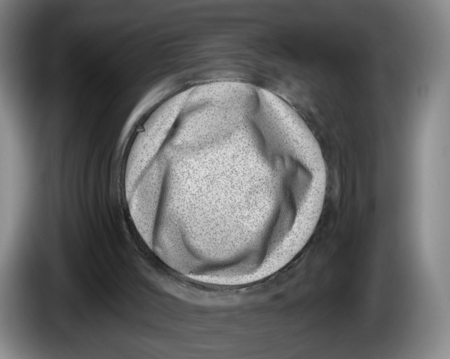X0000086270004200704191934