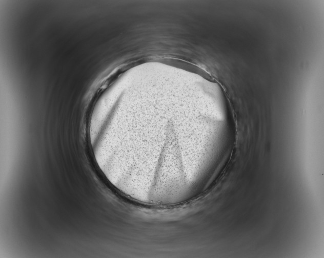 X0000086270005200704191934