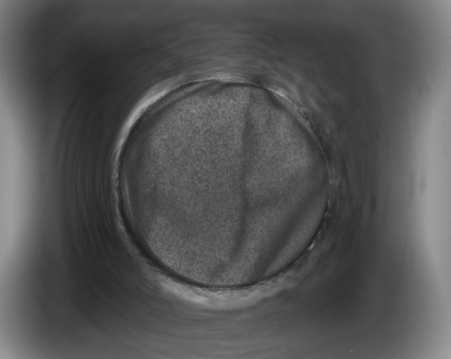 X0000086270006200704191934