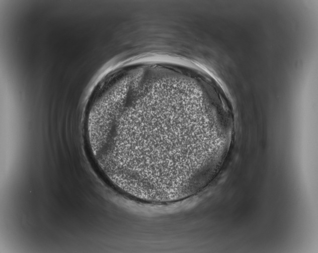 X0000086270007200704191934