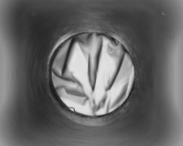 X0000086270008200704191934