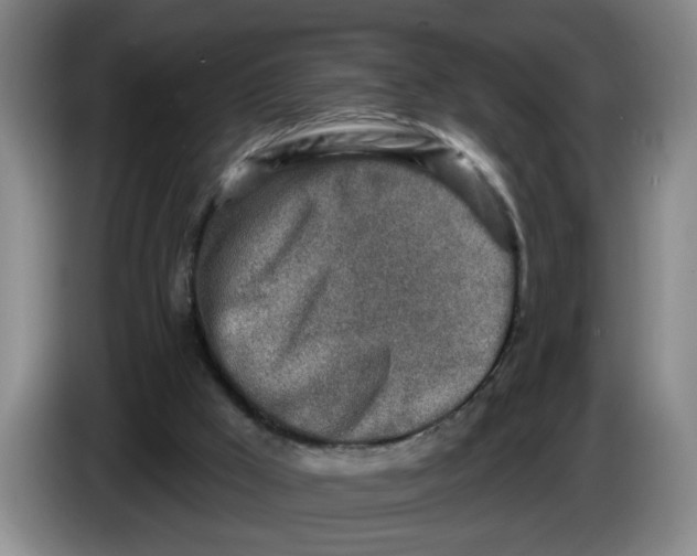 X0000086270009200704191934