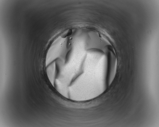 X0000086270010200704191934