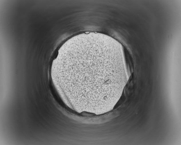 X0000086270011200704191934