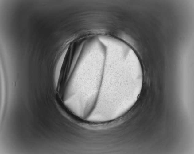 X0000086270013200704191934