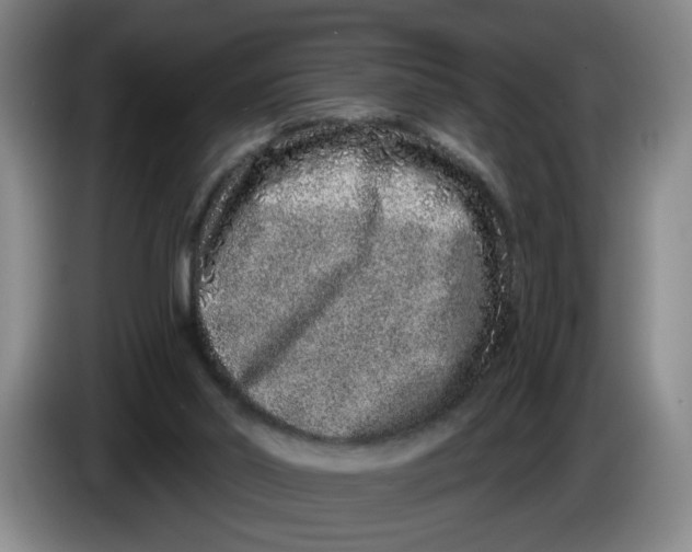 X0000086270014200704191934