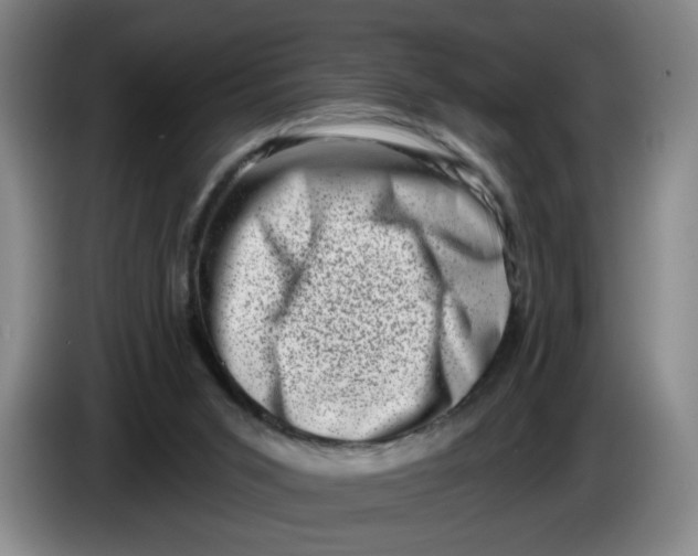 X0000086270015200704191934